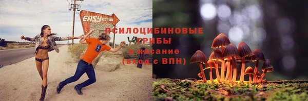 Альфа ПВП Белокуриха