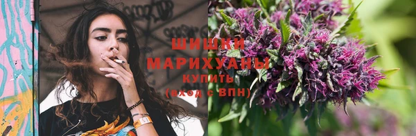 Альфа ПВП Белокуриха