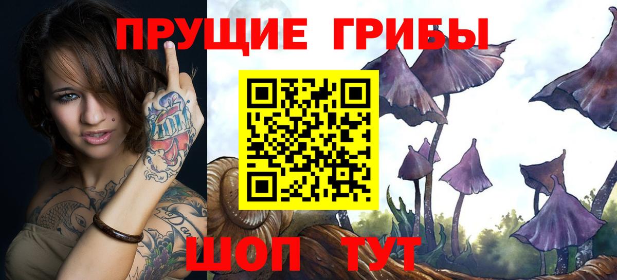 Галлюциногенные грибы Psilocybine cubensis  Галлюциногенные грибы Magic Shrooms  Улан-Удэ  Вход с VPN 